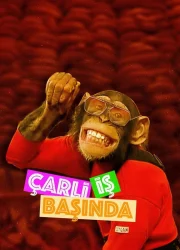 Çarli İş Başında