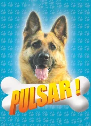 Pulsar