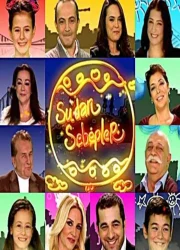 Sudan Sebepler