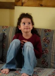 Yade Arayıcı